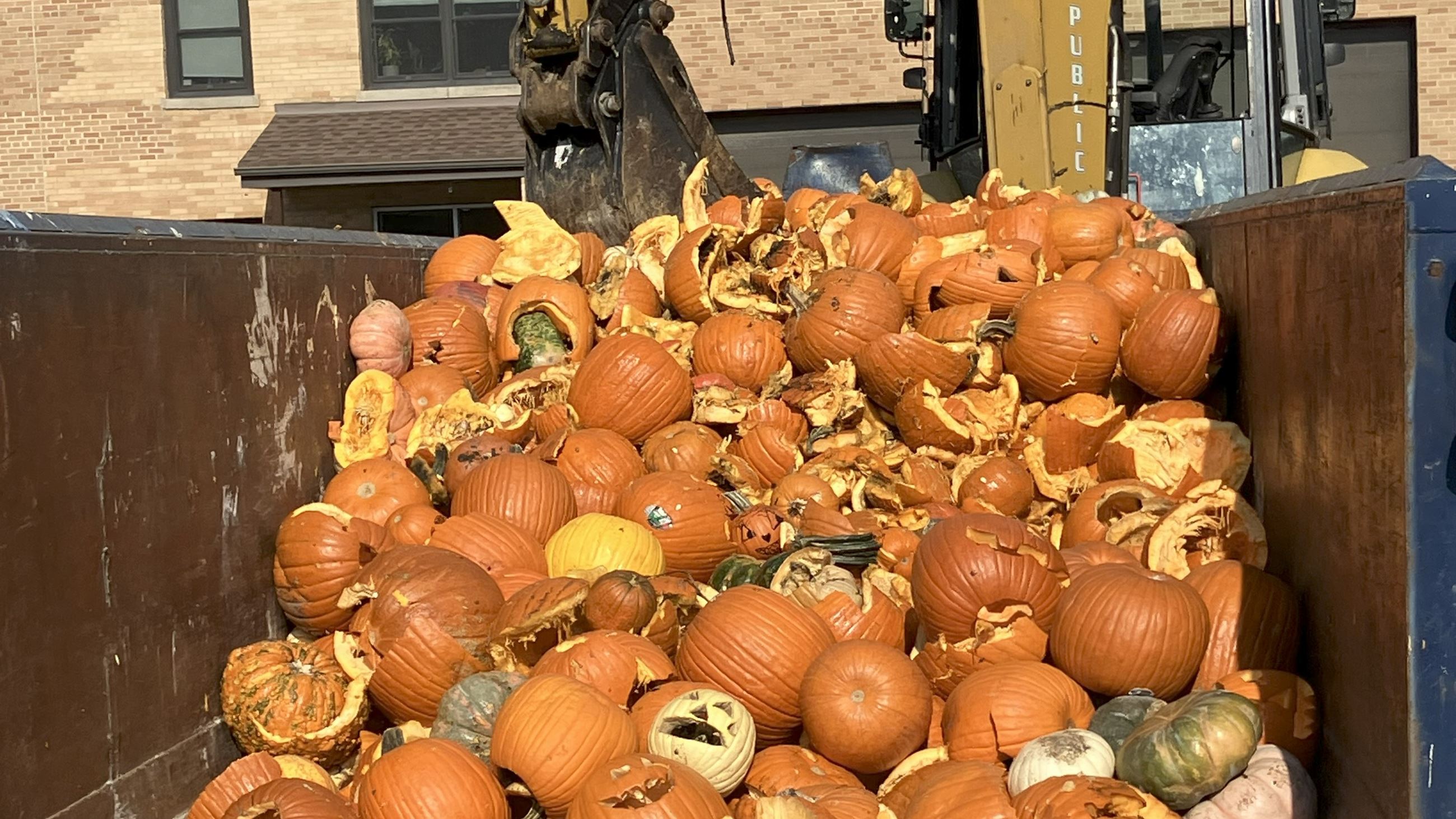 Pumpkin Smash 2025